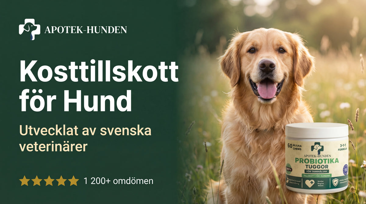 Kosttillskott för Hund | Veterinärutvecklade Formler | ApotekHunden