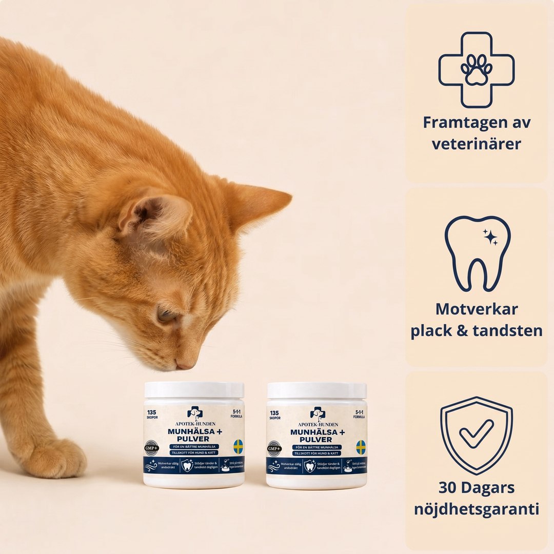 Seniorkatt med Munhälsa+