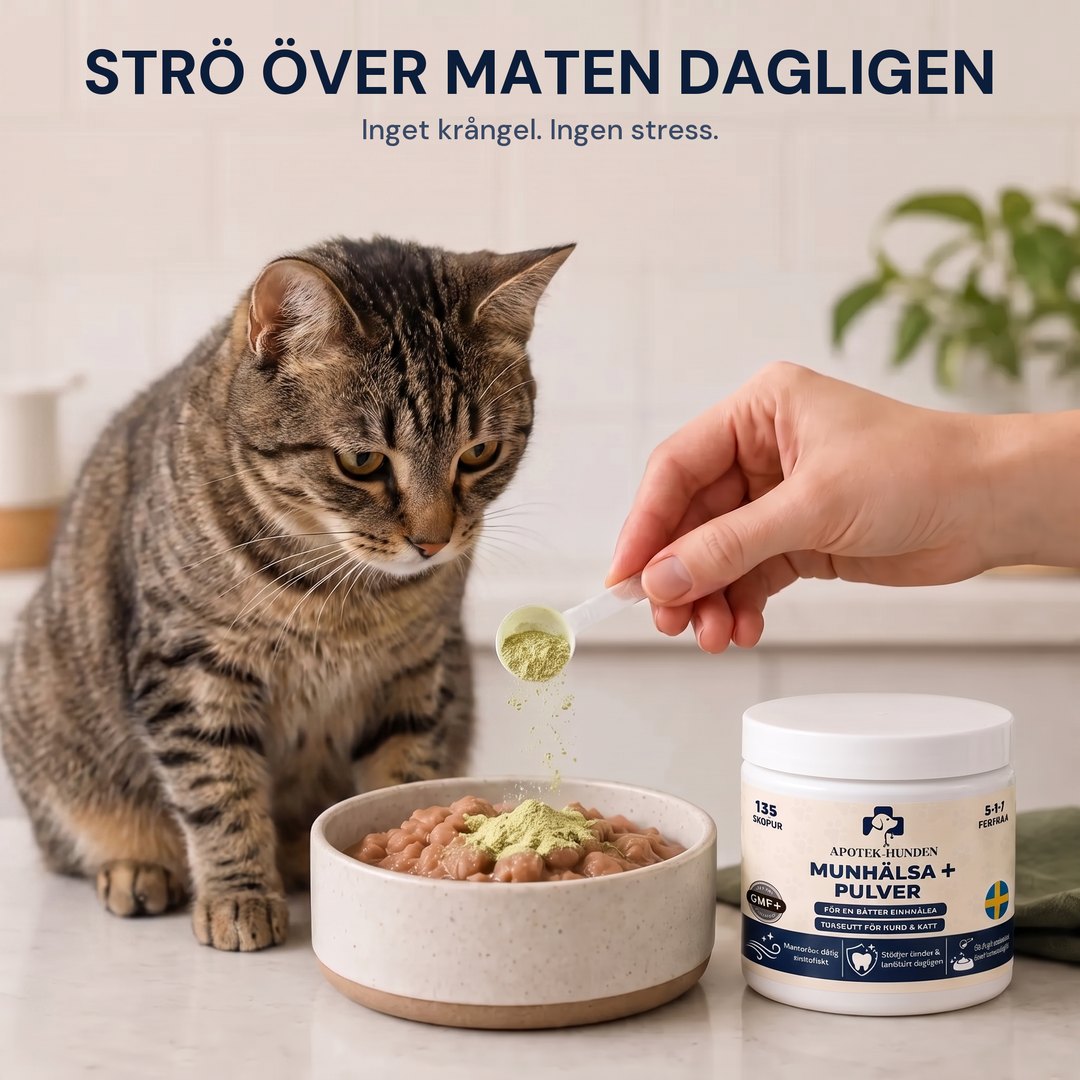 Strö över maten dagligen