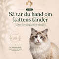 E-bok: Så tar du hand om kattens tänder