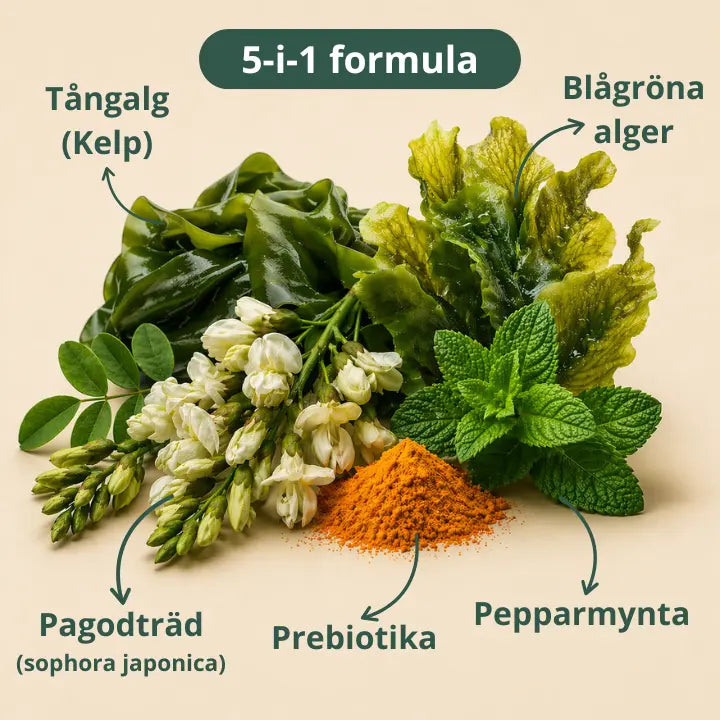 5-i-1 formula infografik