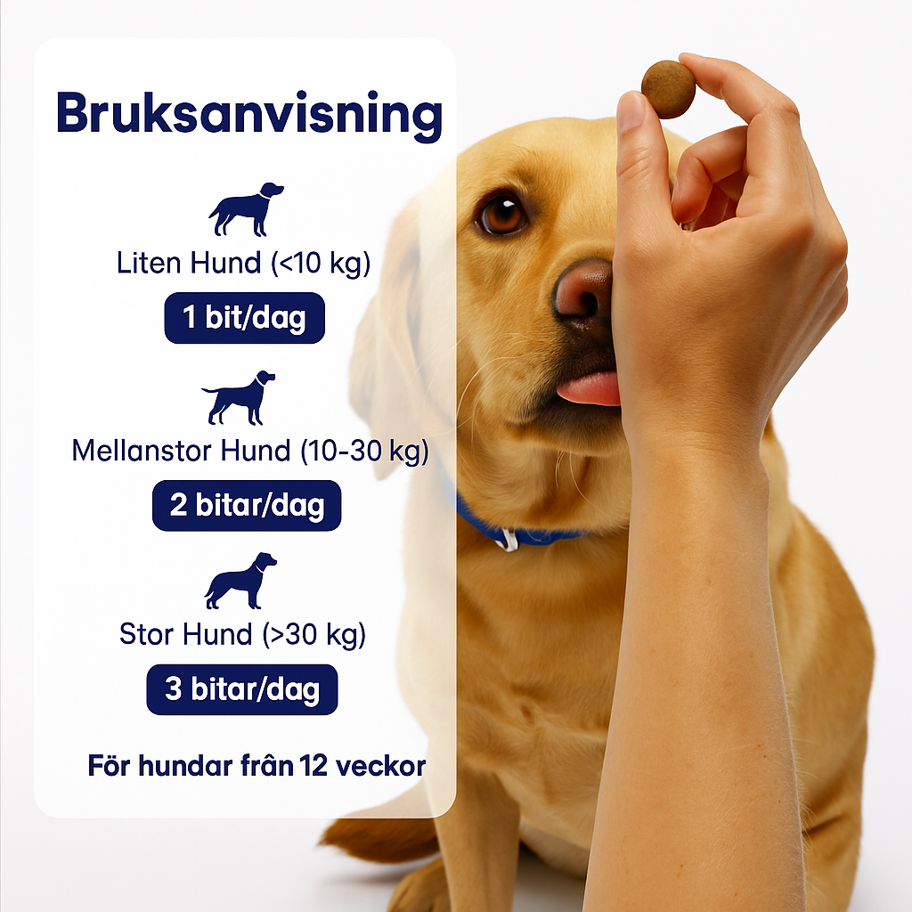3-i-1 probiotika, der løser din hunds mave-, hud- og energiproblemer 