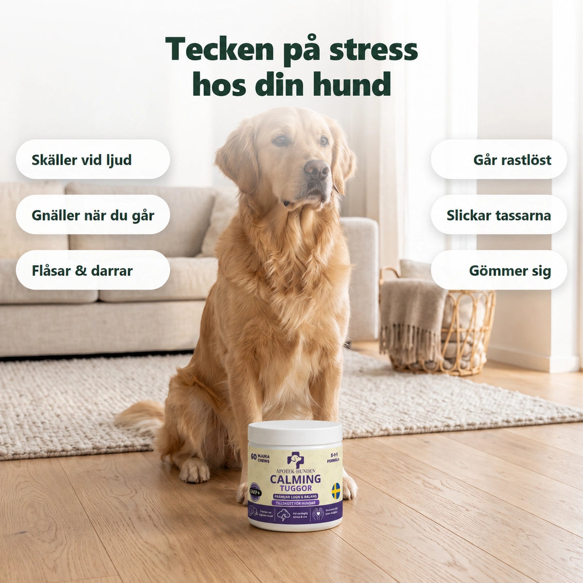 Daglig+ Tuggor