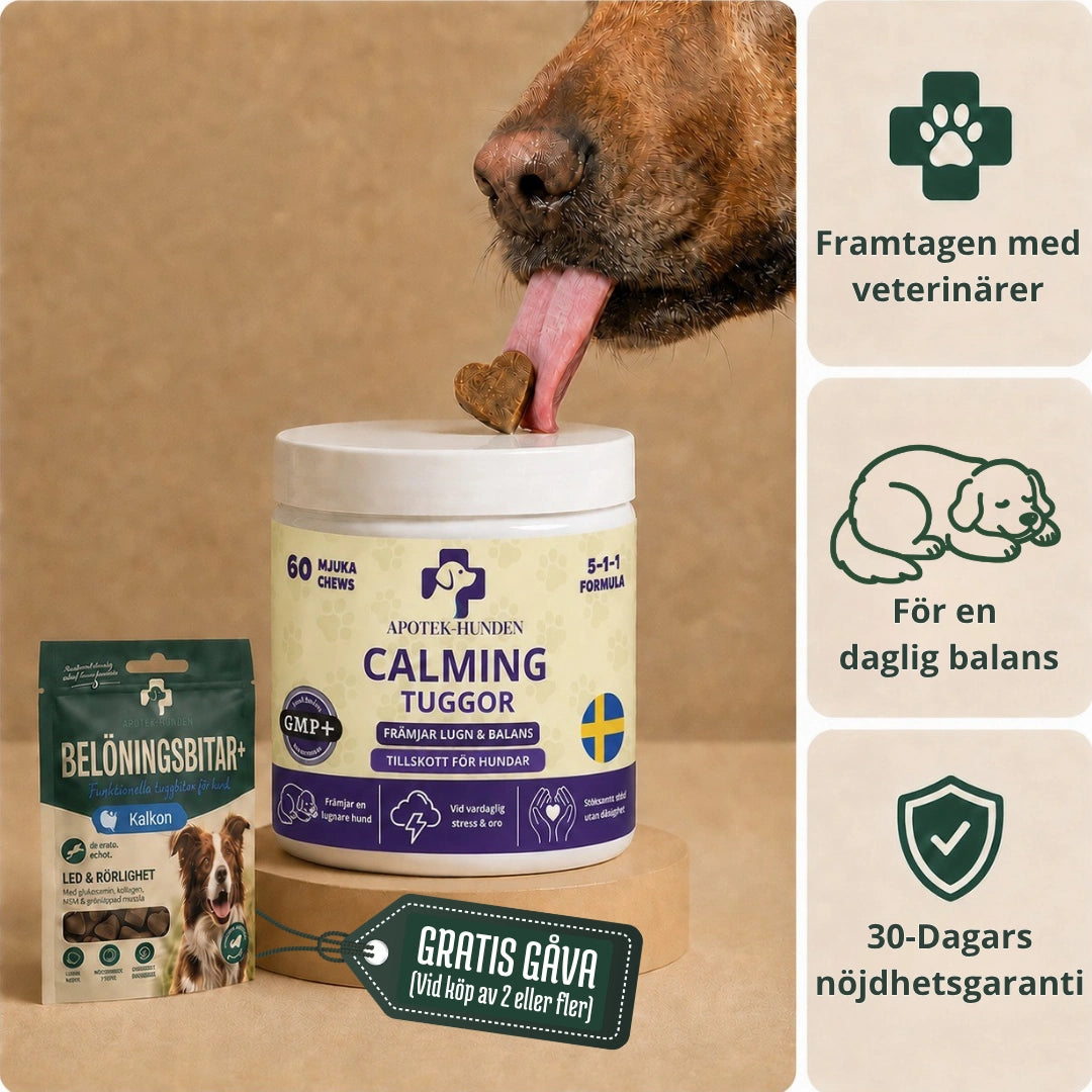Apotek Hunden - 5-i-1 Beroligende Tyggetabletter, Der Lindrer Din Hunds Stress, Angst og Frygt 