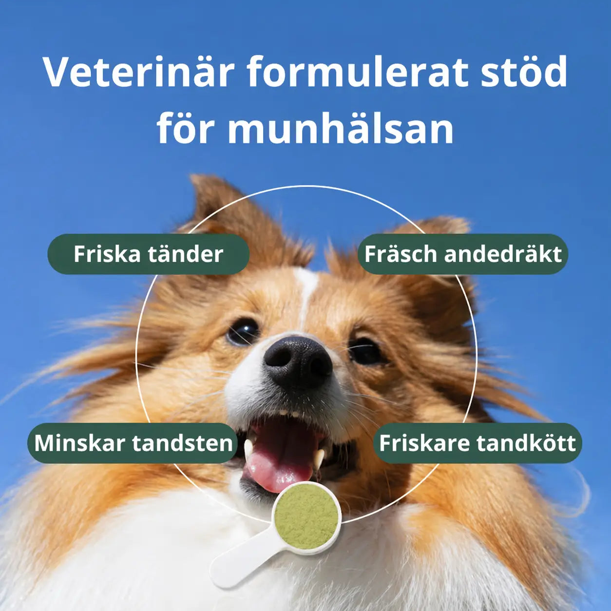 MUNHÄLSA+ hund och ägare