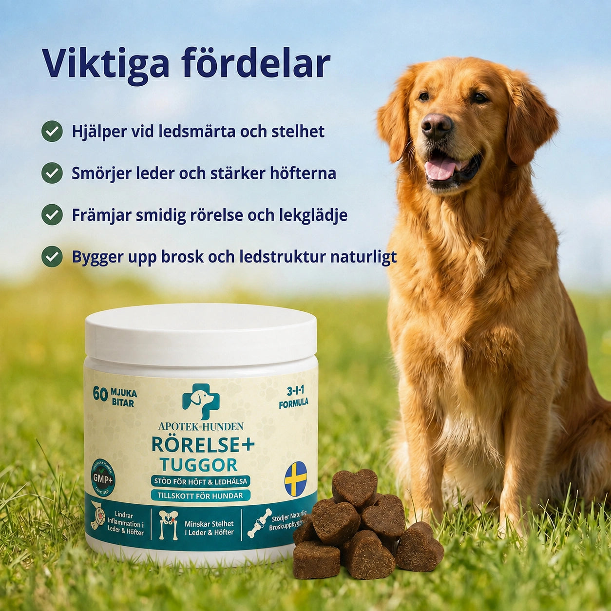 Ledtillskott - Som Stödjer Din Hunds Rörlighet