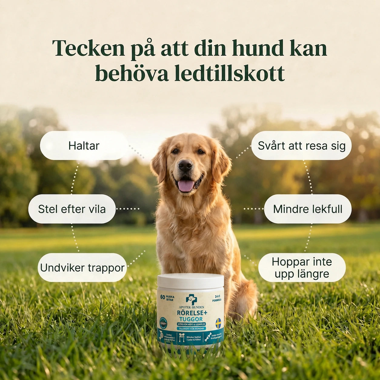 Ledtillskott - Som Stödjer Din Hunds Rörlighet