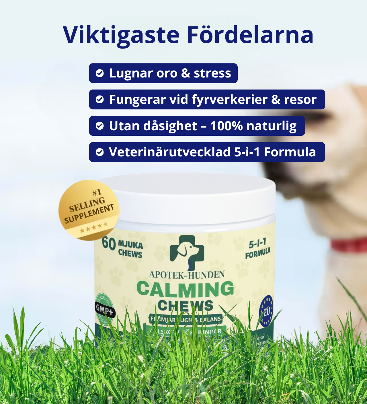 Apotek Hunden - 5-i-1 Beroligende Tyggetabletter, Der Lindrer Din Hunds Stress, Angst og Frygt 