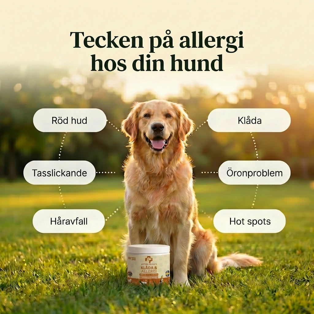 Klåda & Allergi