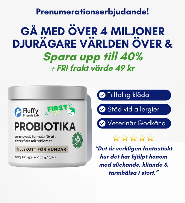 3-i-1 Probiotika, der løser din hunds mave-, hud- og energiproblemer 