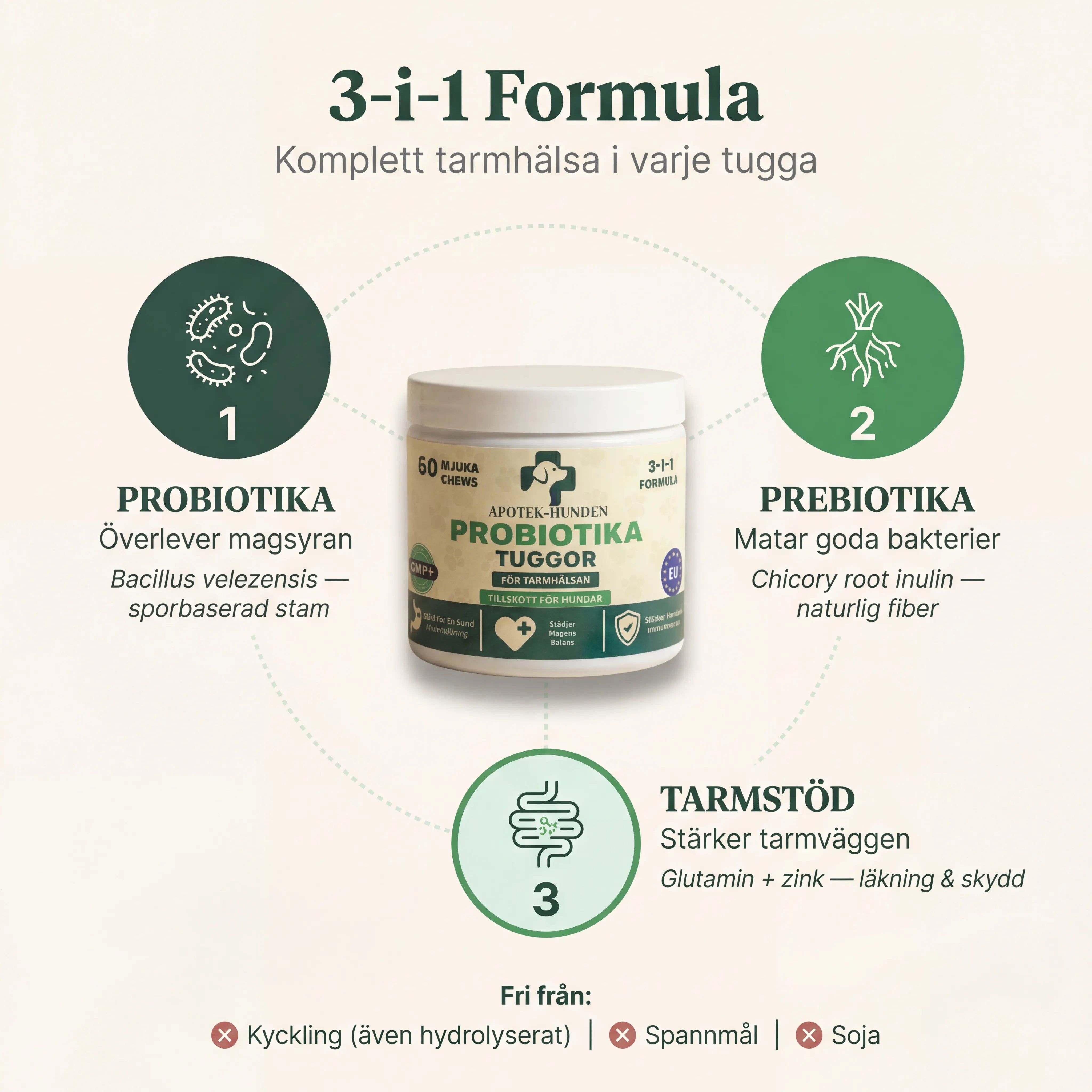 Apotek Hunden - 3-i-1 probiotika, der løser din hunds mave-, hud- og energiproblemer 