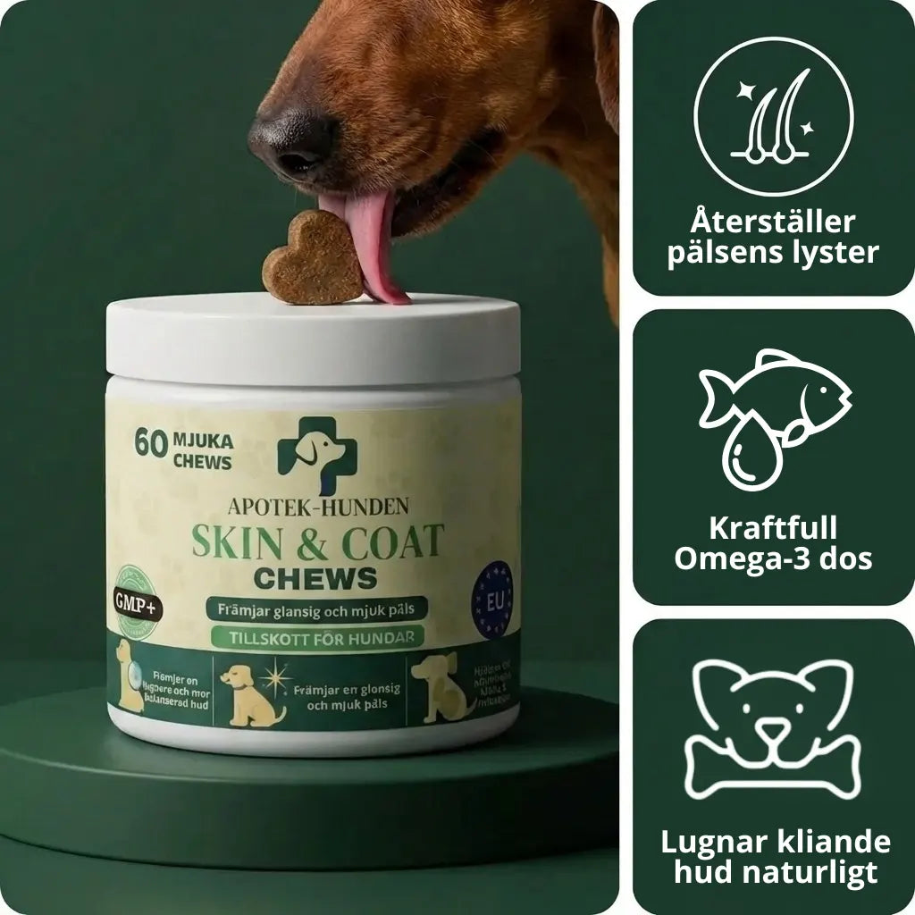 Apotek Hunden - 5-i-1 Beroligende Tyggetabletter, Der Lindrer Din Hunds Stress, Angst og Frygt 