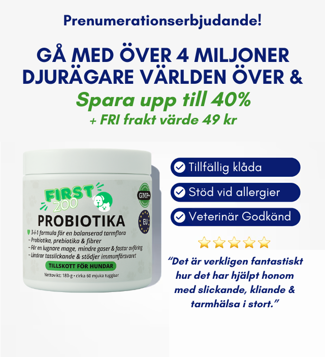 3-i-1 probiotika, der løser din hunds mave-, hud- og energiproblemer 