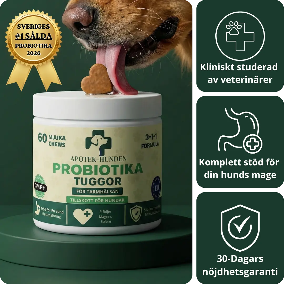 Apotek Hunden - 3-i-1 probiotika, der løser din hunds mave-, hud- og energiproblemer 