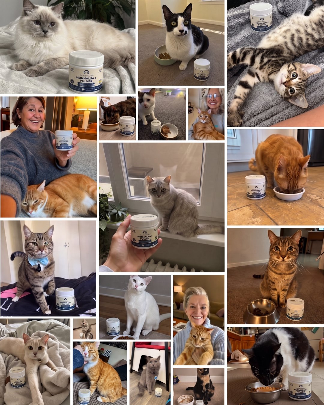 Kattägare med Munhälsa+