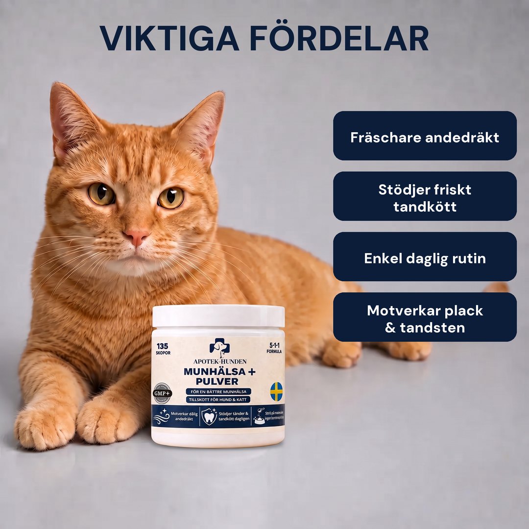 Viktiga fördelar med Munhälsa+