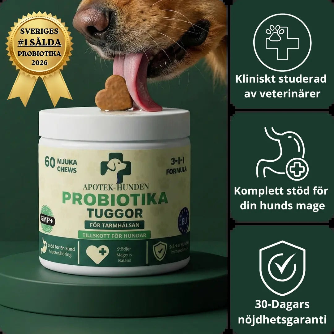 3-i-1 Probiotika med 30 dagars nöjdhetsgaranti